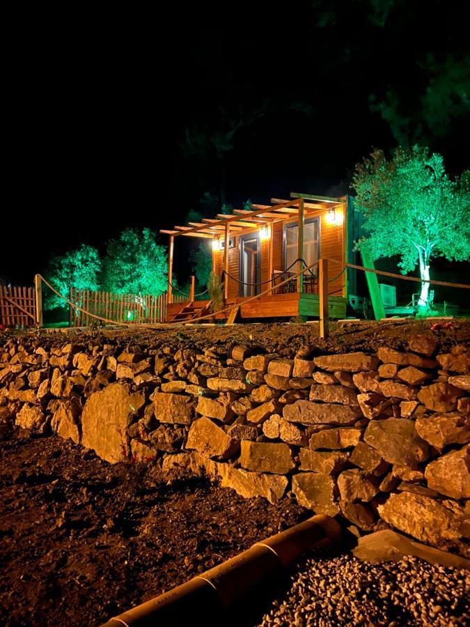 Tiny Mini House Otel Dalaman Dış mekan fotoğraf