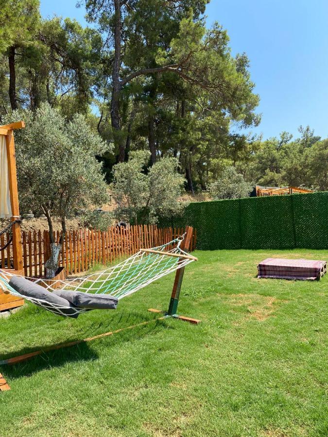 Tiny Mini House Otel Dalaman Dış mekan fotoğraf
