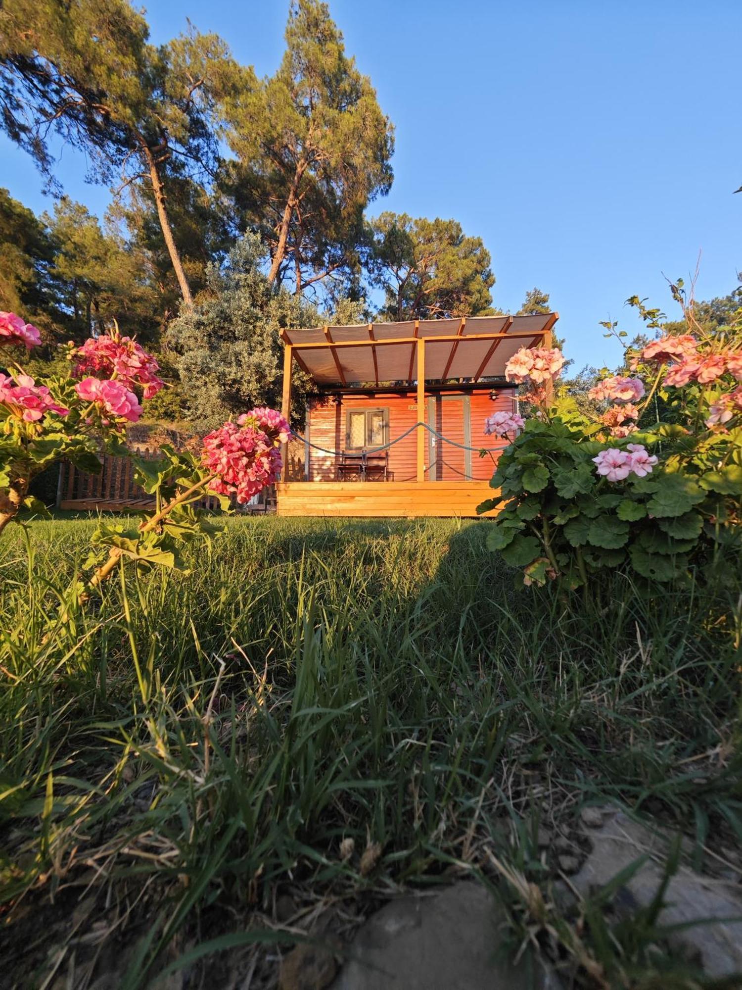 Tiny Mini House Otel Dalaman Dış mekan fotoğraf