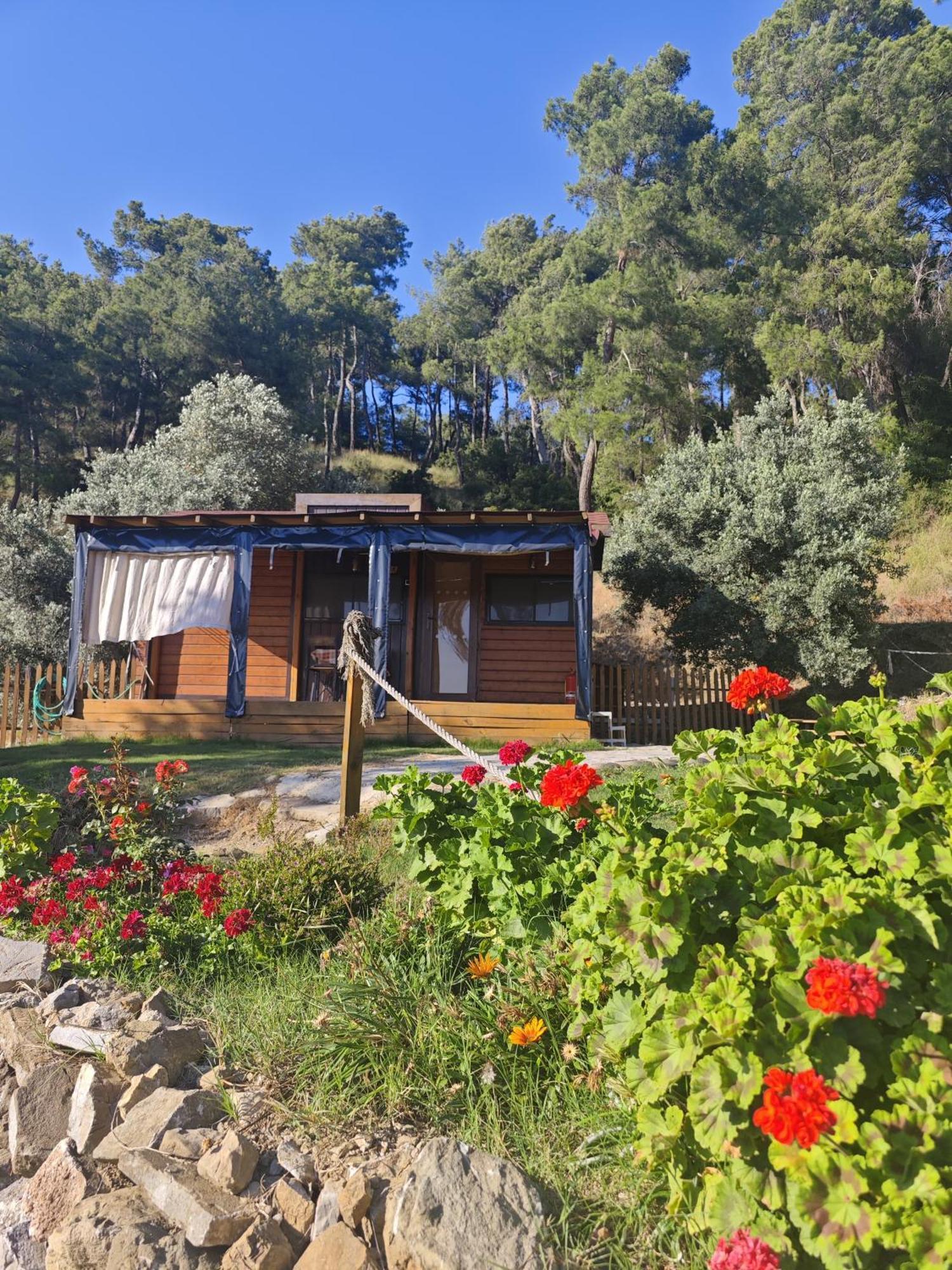 Tiny Mini House Otel Dalaman Dış mekan fotoğraf