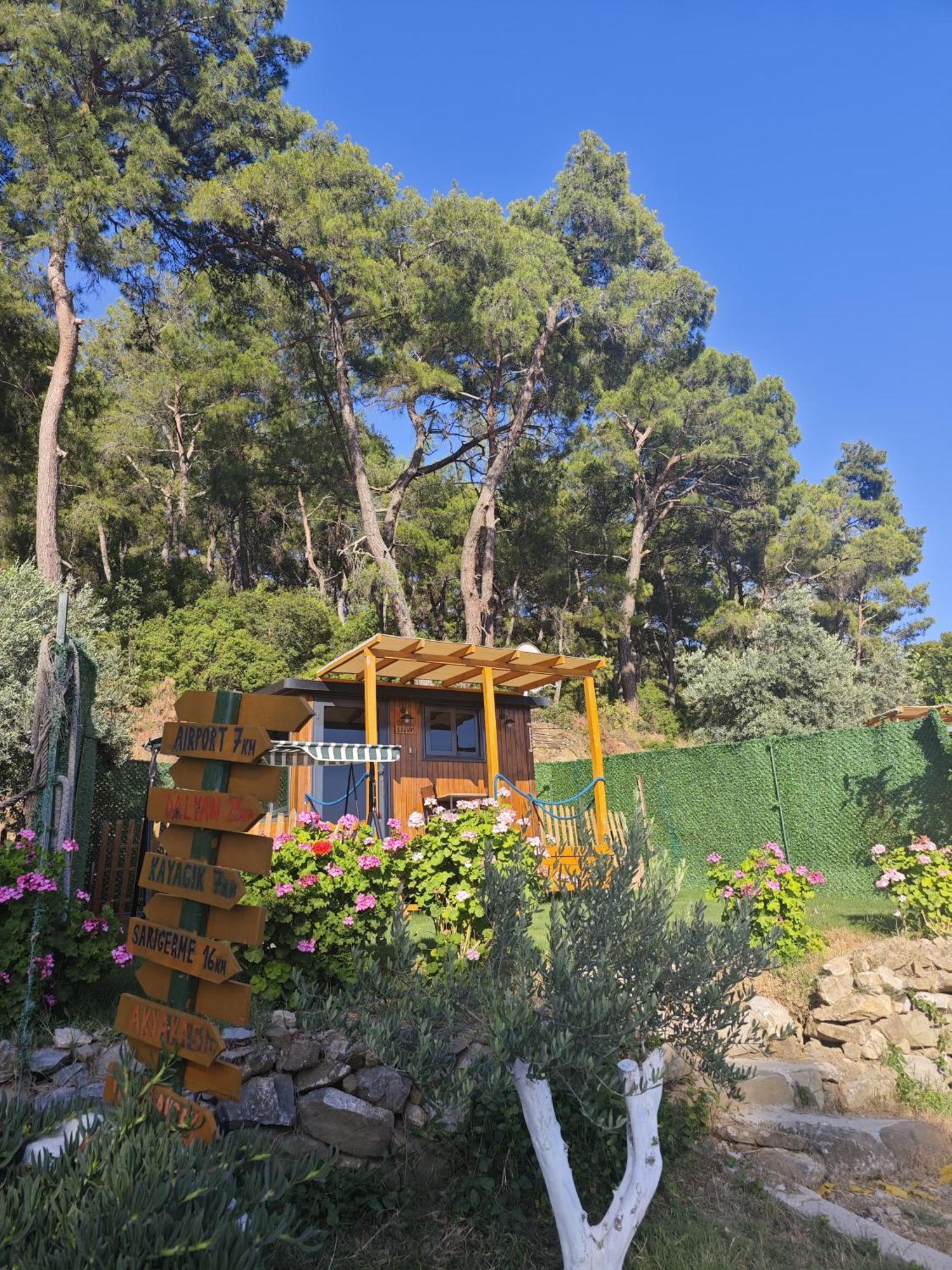 Tiny Mini House Otel Dalaman Dış mekan fotoğraf