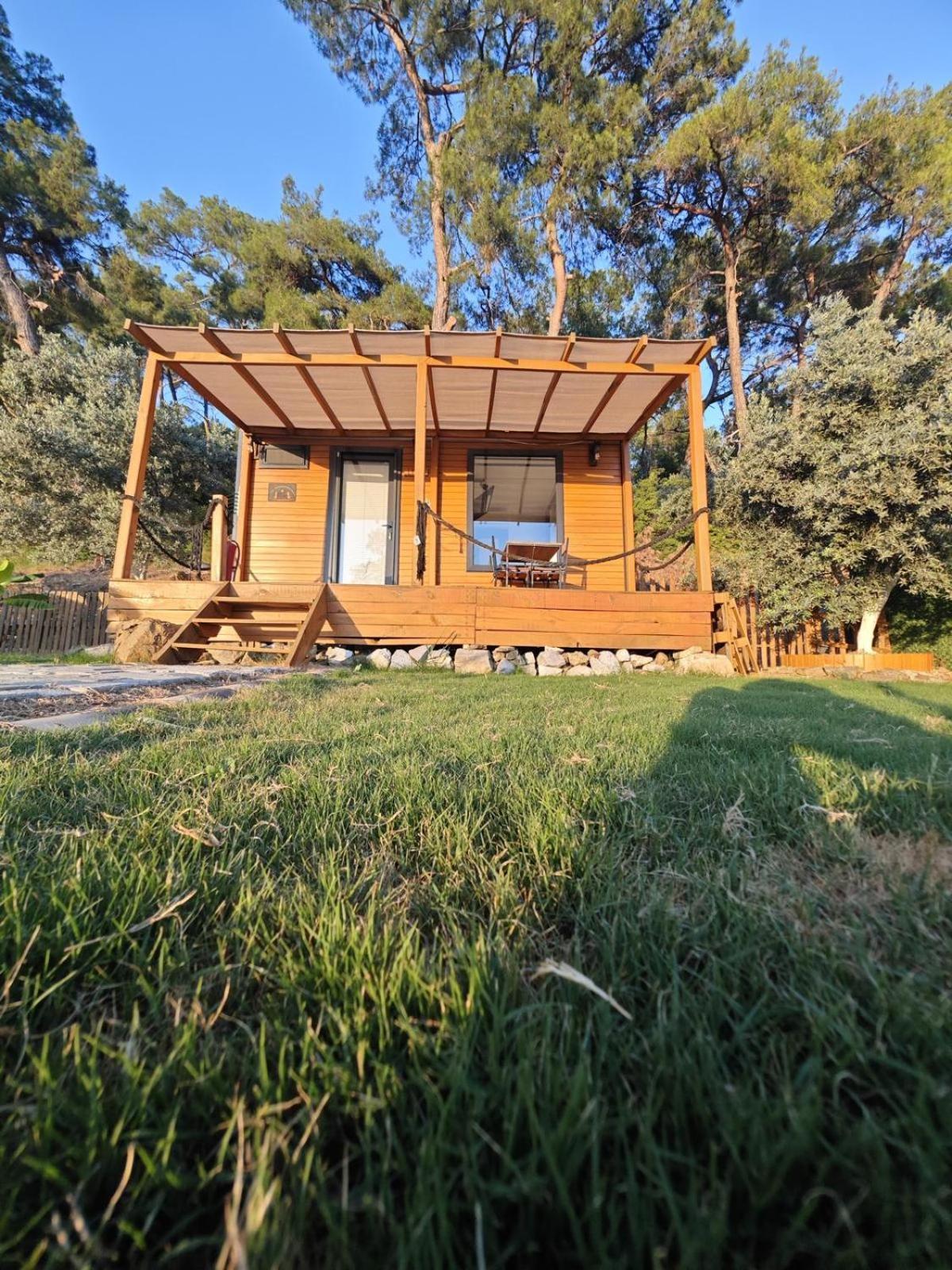 Tiny Mini House Otel Dalaman Dış mekan fotoğraf