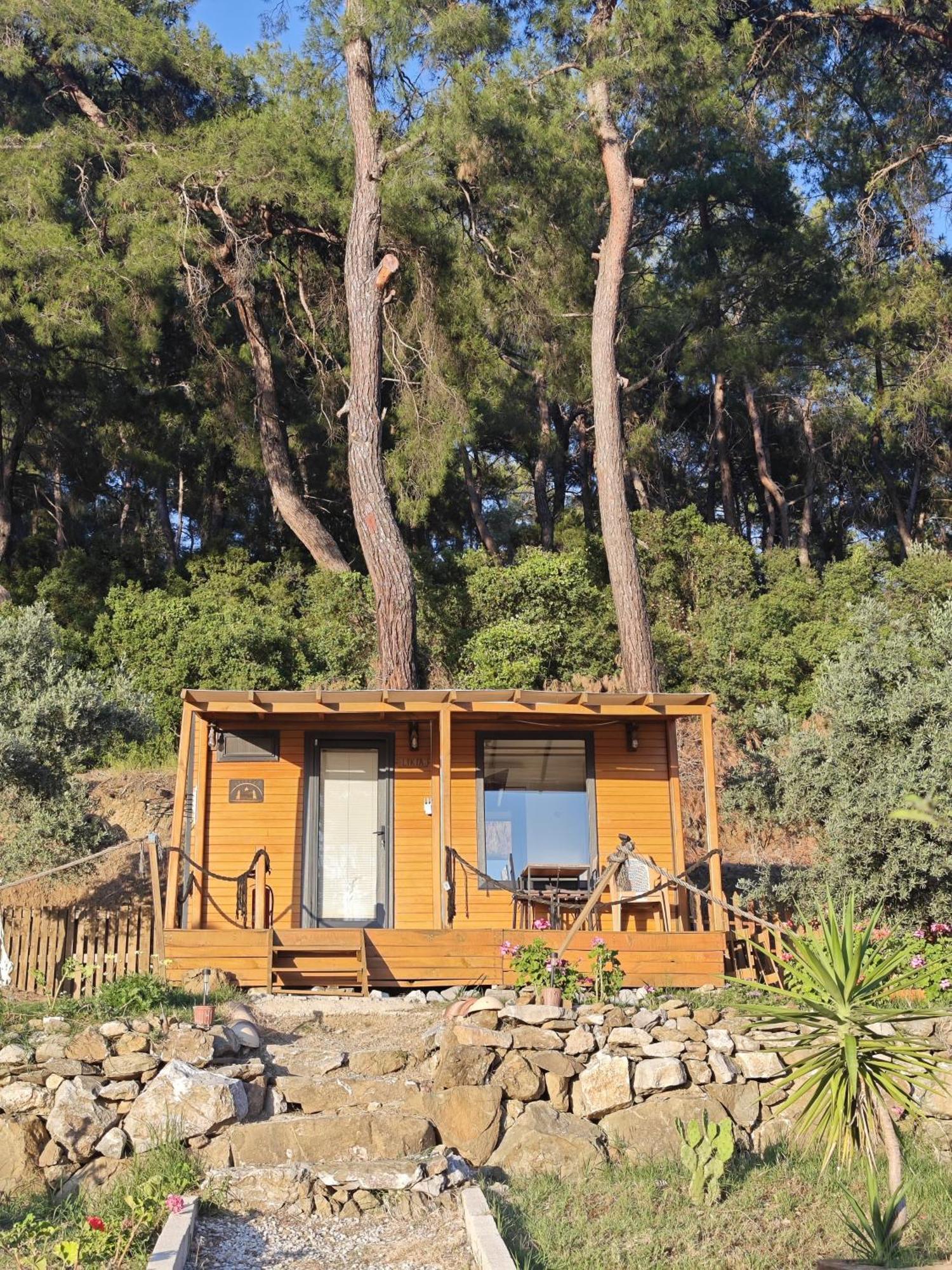 Tiny Mini House Otel Dalaman Dış mekan fotoğraf