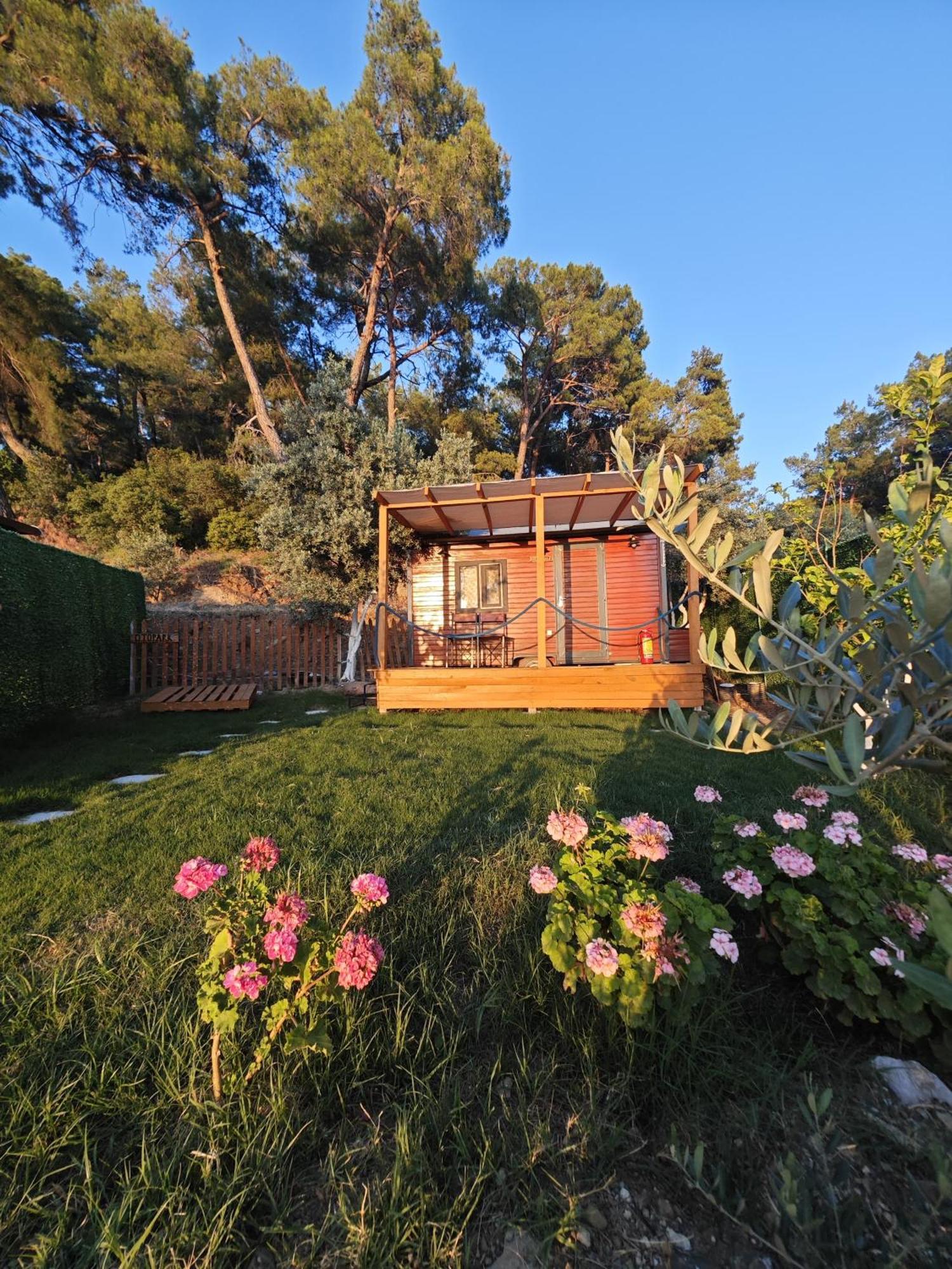 Tiny Mini House Otel Dalaman Dış mekan fotoğraf